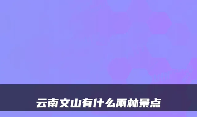 云南文山有什么雨林景点