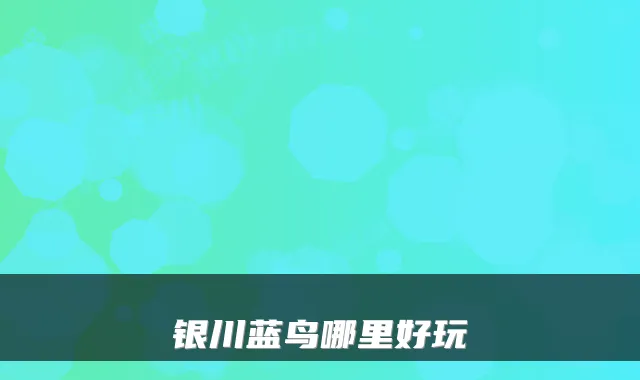 银川蓝鸟哪里好玩