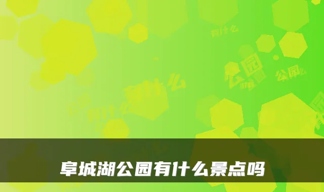 阜城湖公园有什么景点吗