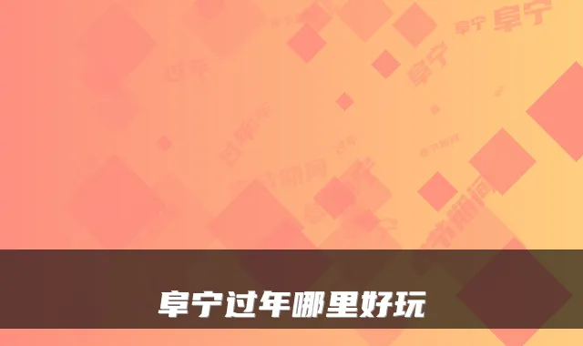 阜宁过年哪里好玩