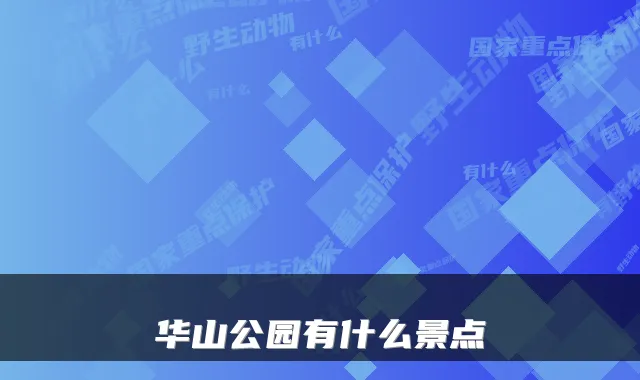 华山公园有什么景点